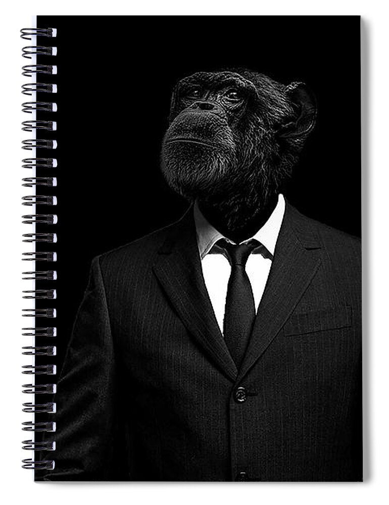 Chimpanzee Wildlife Nature Suit Human Trepidation Primate Low Key Portrait Spiral Notebook featuring the photograph The interview by Paul Neville