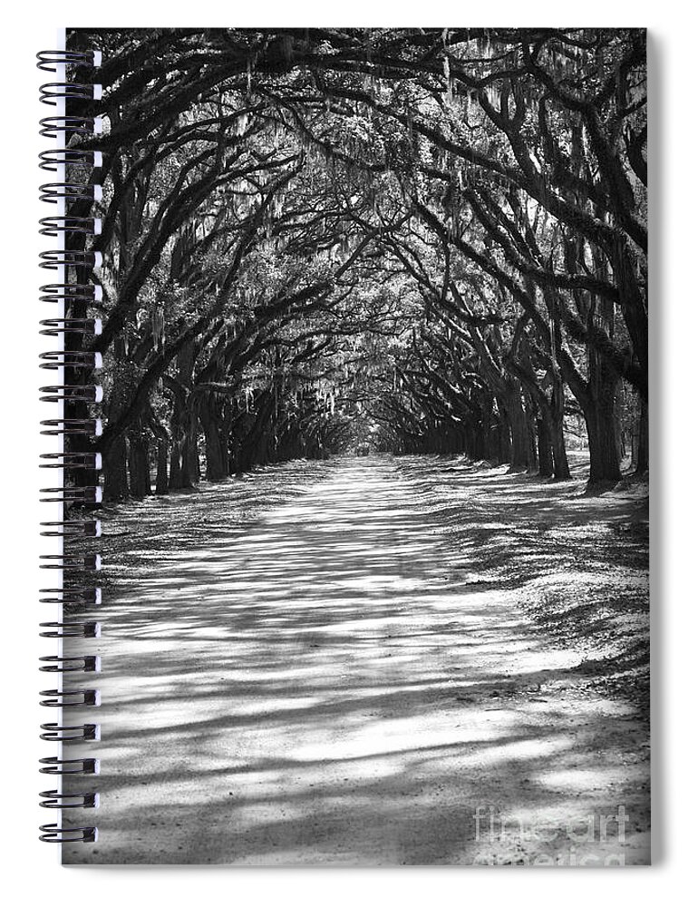 Georgia Spiral Notebook featuring the photograph Live Oaks Lane with Shadows - Black and White by Carol Groenen
