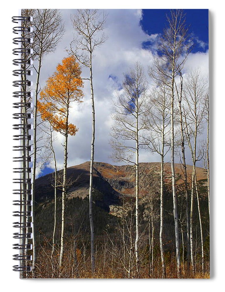 Silverthorne Spiral Notebook featuring the photograph The Last Hurrah by Fiona Kennard