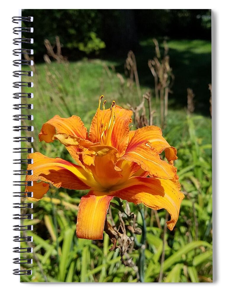 Lilly Spiral Notebook featuring the photograph The Last Lilly by Vic Ritchey