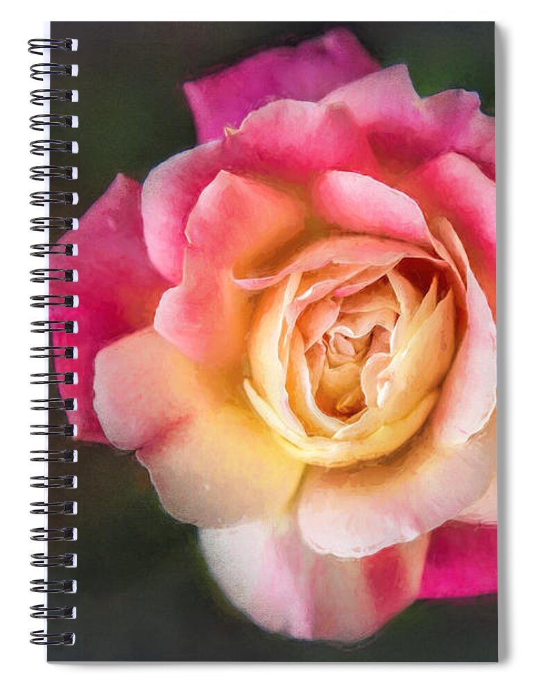 Nature Spiral Notebook featuring the photograph The Last Rose of Summer, Painting by Sharon McConnell