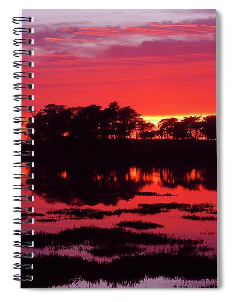 The Walkers Spiral Notebook featuring the photograph The Light Show by The Walkers
