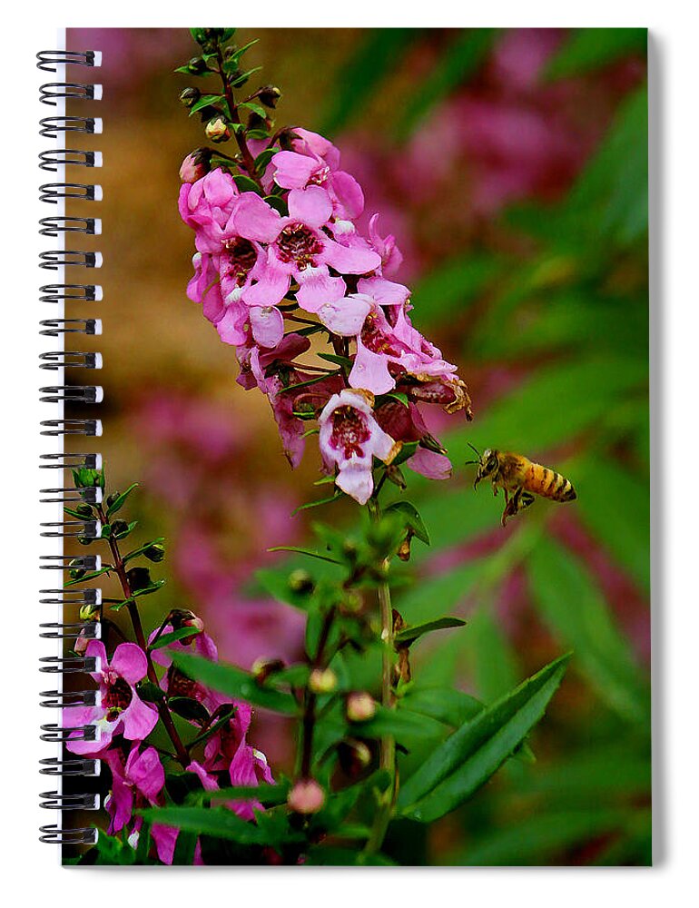 Honey Bee Spiral Notebook featuring the photograph The Little Pollinator by HH Photography of Florida