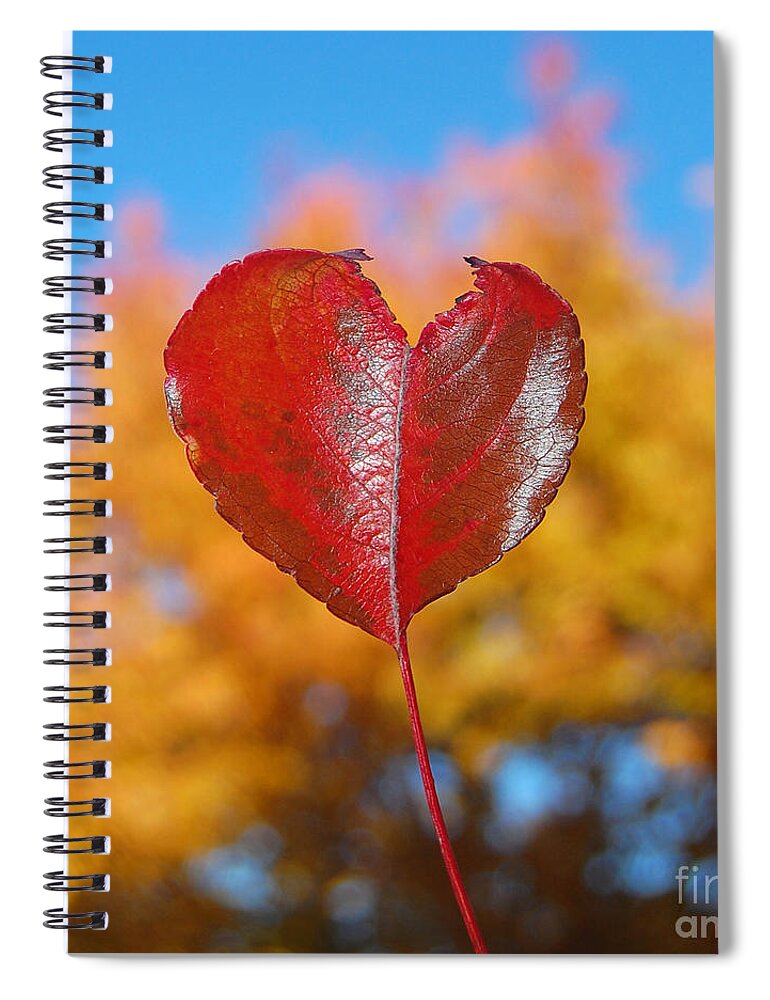 Heart Spiral Notebook featuring the photograph The Love of Fall by Debra Thompson