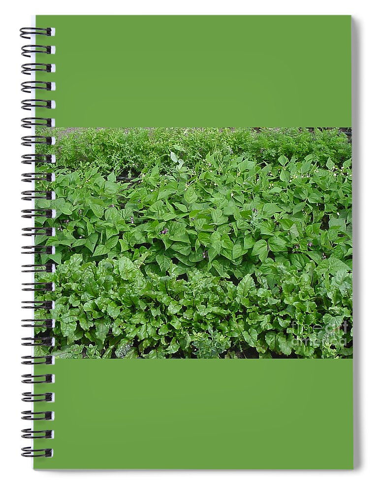 Garden Spiral Notebook featuring the photograph The Market Garden Landscape by Donna L Munro