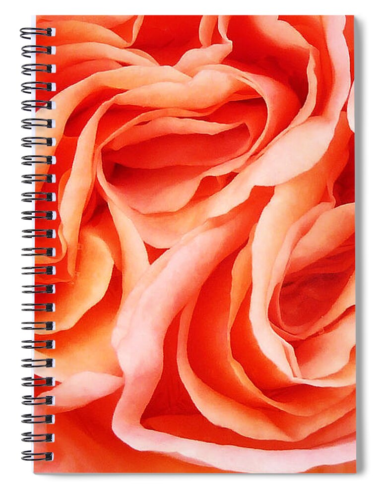  Love Triangle Spiral Notebook featuring the photograph The Menage a trois by Steve Taylor