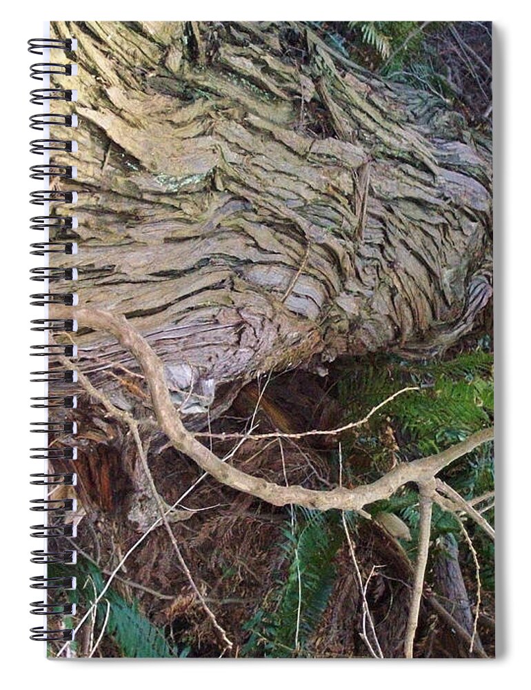 Tree Spiral Notebook featuring the photograph The Mighty Has Fallen by Mary Mikawoz