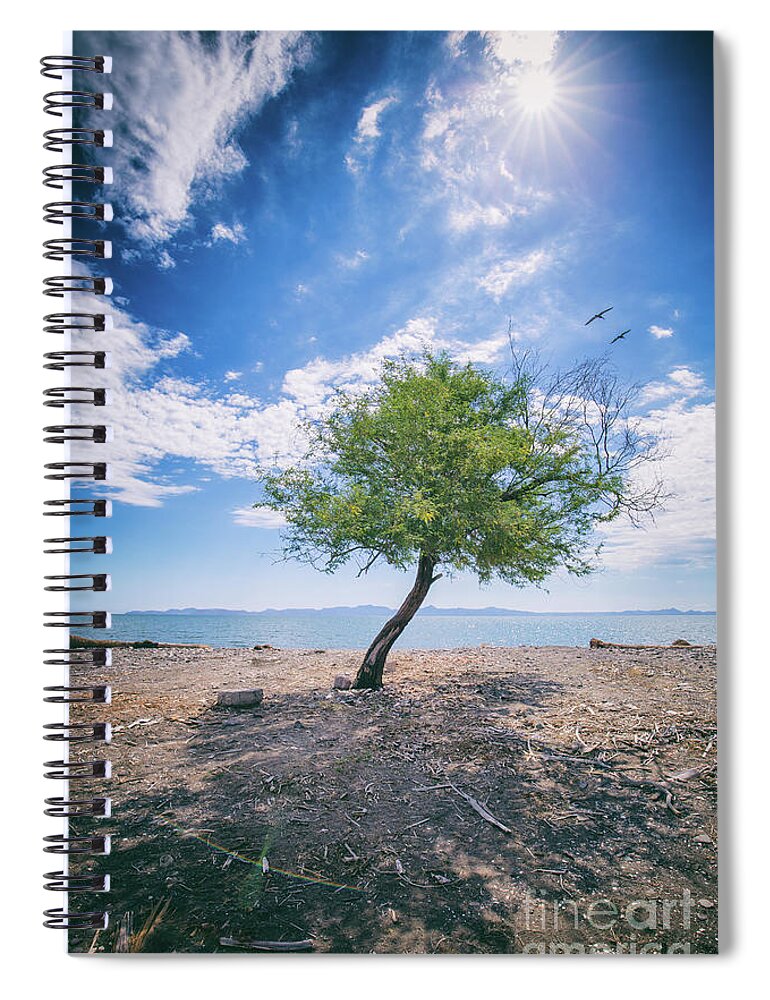 Tree Spiral Notebook featuring the photograph The Mirage by Becqi Sherman