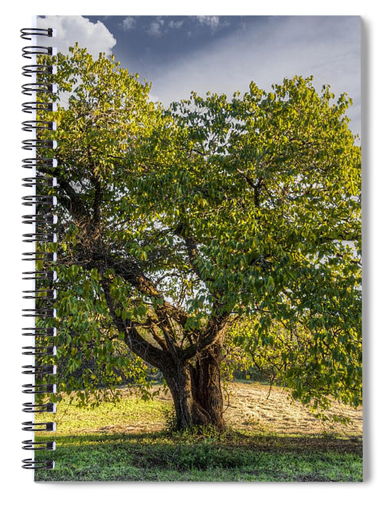 Appalachia Spiral Notebook featuring the photograph The Mulberry Tree by Debra and Dave Vanderlaan