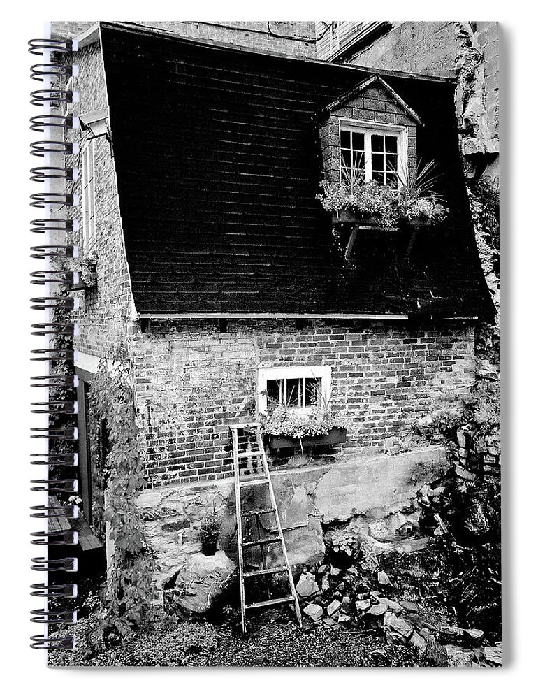 Art Spiral Notebook featuring the photograph The Nest by Frank DiMarco