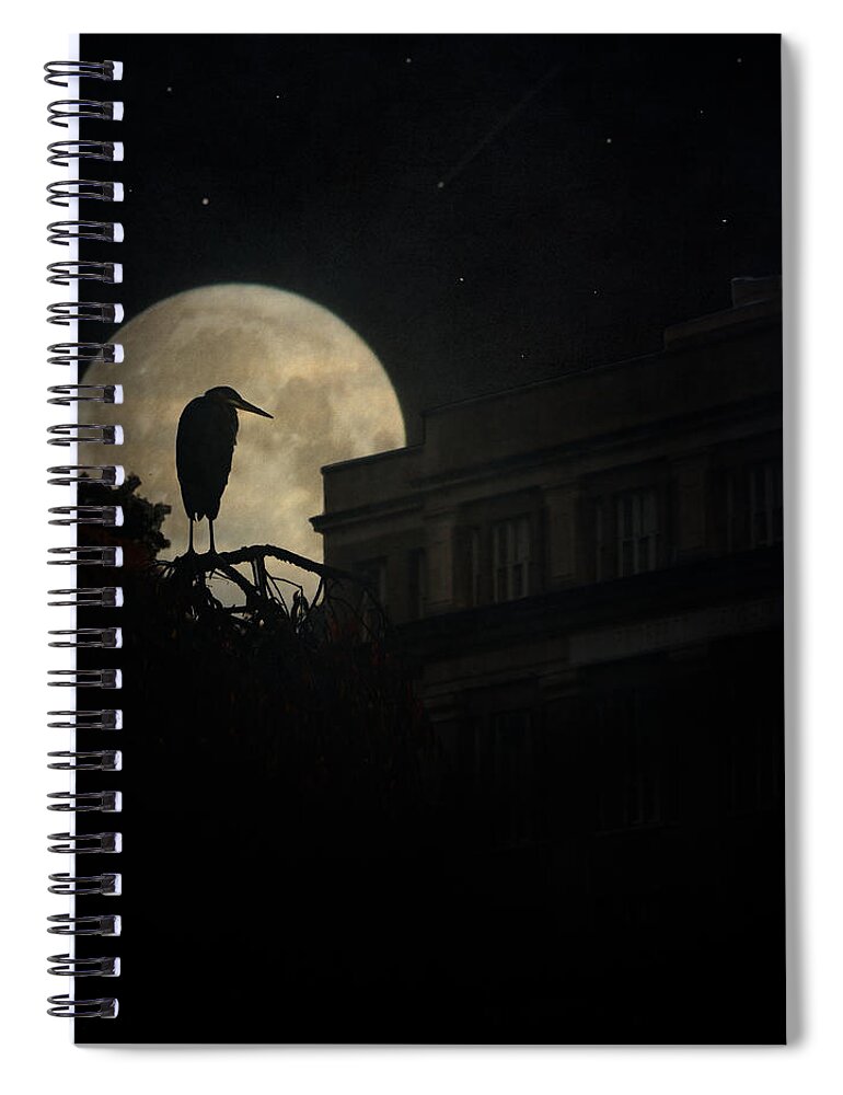Heron Spiral Notebook featuring the photograph The Night Of The Heron by Chris Lord