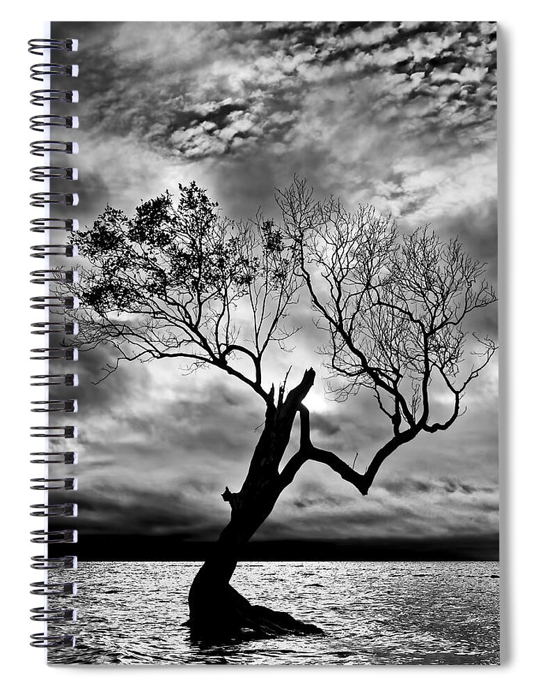 2015 Spiral Notebook featuring the photograph The Old Mangrove tree in the Sea by Robert Charity