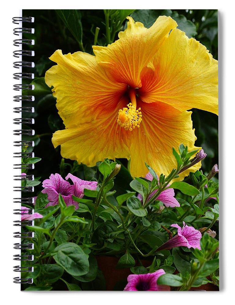  Spiral Notebook featuring the photograph The One God by Rodney Lee Williams