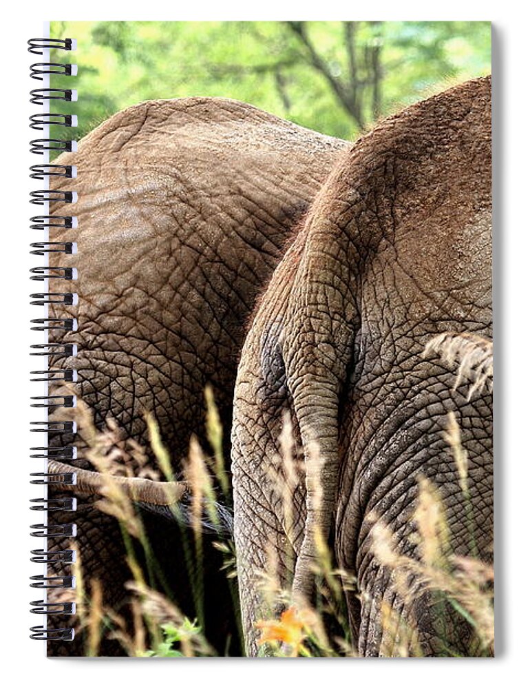 African Elephant Spiral Notebook featuring the photograph The Other Side by Angela Rath
