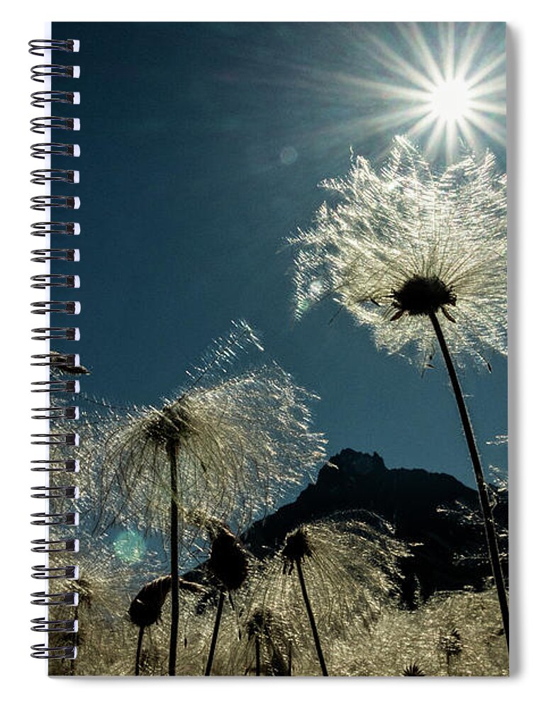 Alaska Spiral Notebook featuring the photograph The Other World by Fred Denner