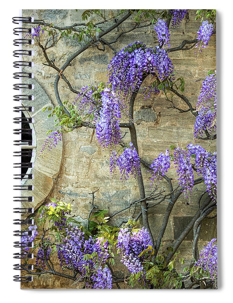 Wisteria Spiral Notebook featuring the photograph The Oval Window by Tim Gainey