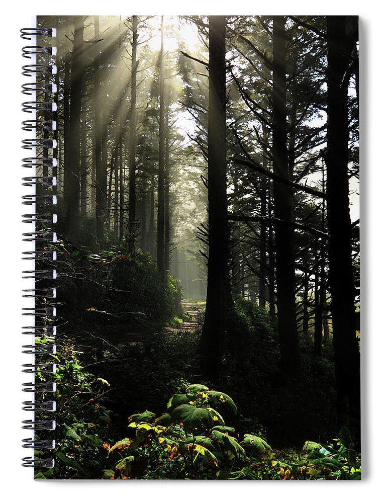 Inspirational Spiral Notebook featuring the photograph The Path Back Home by James Eddy