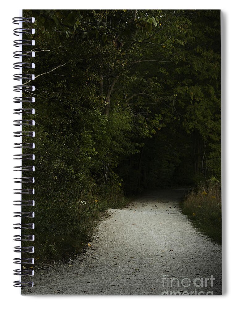 Forest Spiral Notebook featuring the photograph The Path in the Darkness by Margie Hurwich