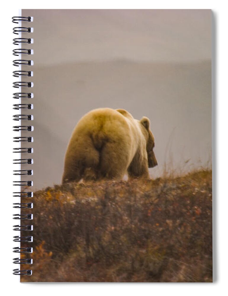 #jefffolger Spiral Notebook featuring the photograph The path not taken by Jeff Folger
