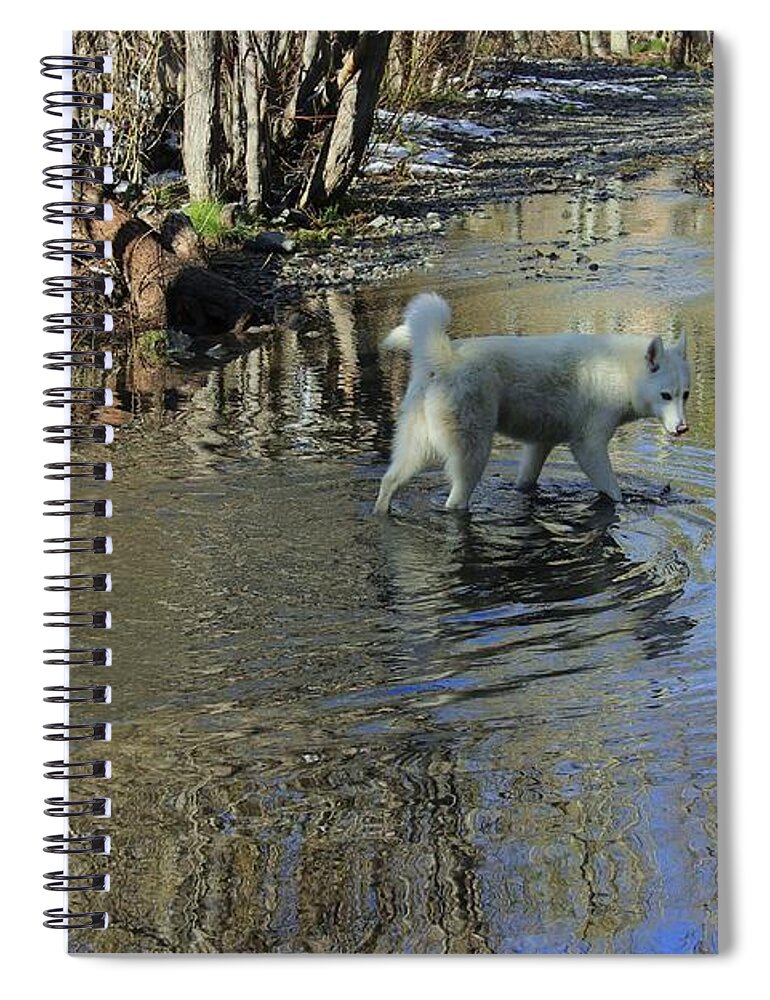 Path Spiral Notebook featuring the photograph The Path Of Life by Sean Sarsfield