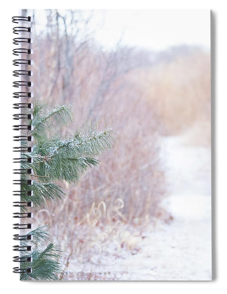 Pine Needles Tree Trees Snow Snowy Snowing Winter Cold Moody Path Outside Outdoors Nature Natural Newengland New England Ma Mass Massachusetts Plum Island Reservation Ice Icy Landscape Spiral Notebook featuring the photograph The Path Untraveled by Brian Hale
