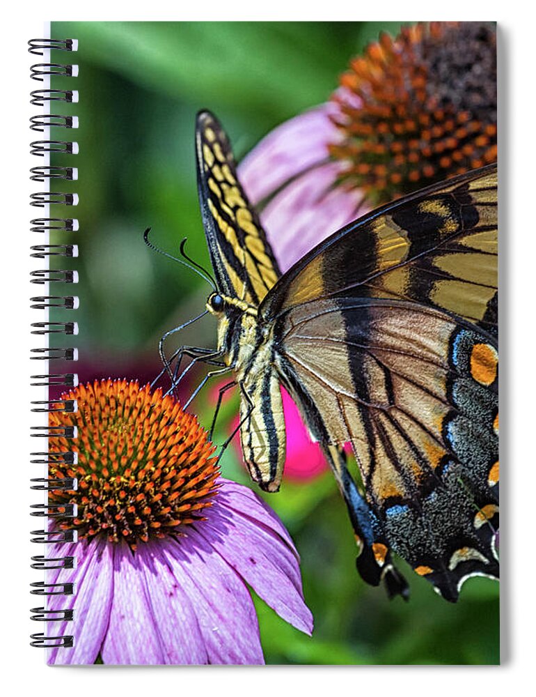 Georgia Spiral Notebook featuring the photograph The Perch by Ray Silva