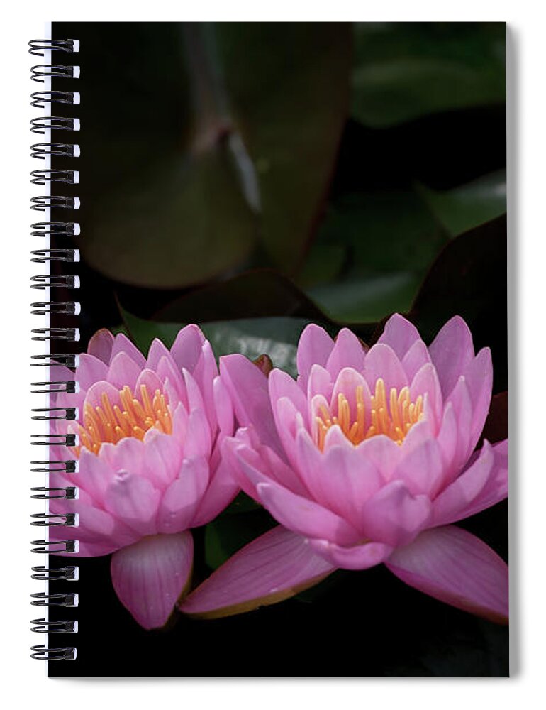 Flower Spiral Notebook featuring the photograph The Perfect Couple by Andrea Silies
