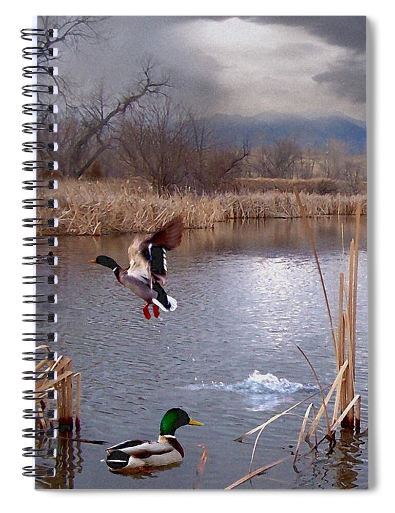 Ponds Spiral Notebook featuring the mixed media The Pond by Bill Stephens