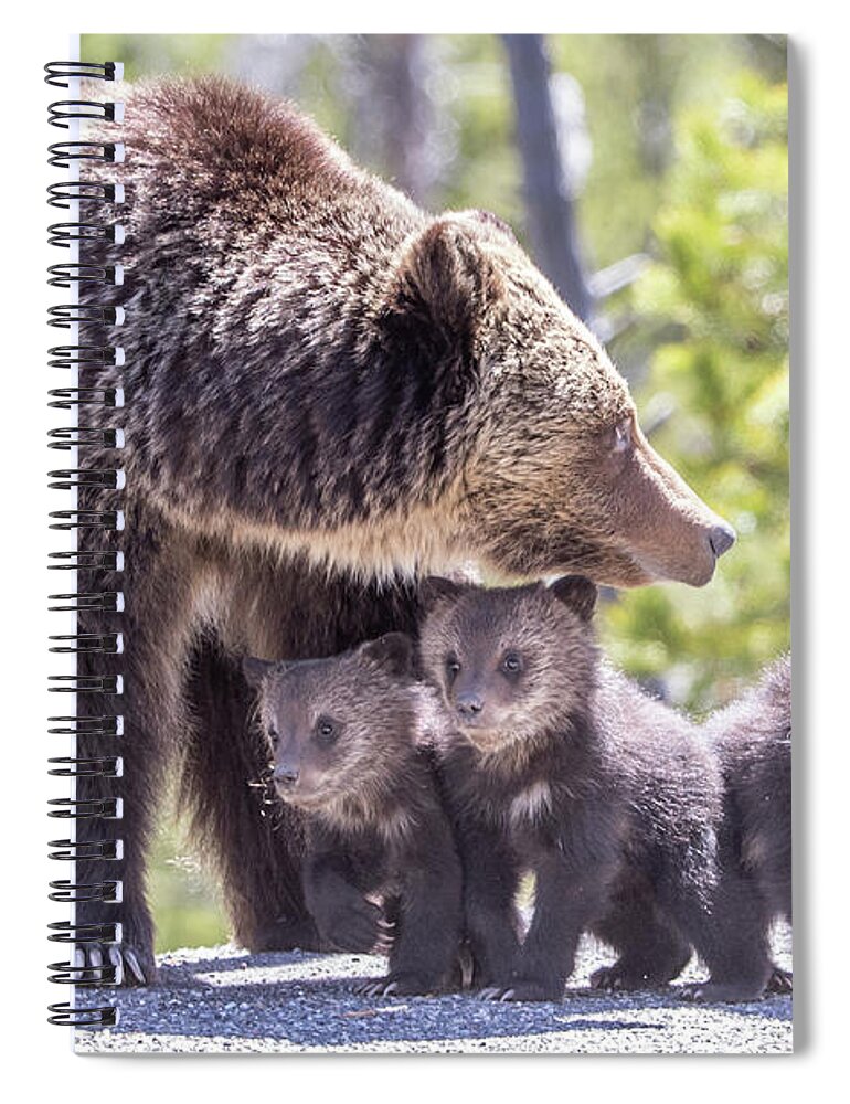 Yellowstone Spiral Notebook featuring the photograph The Protector by Kevin Dietrich