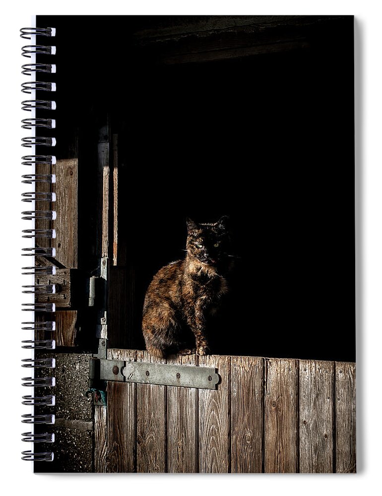 Cat Spiral Notebook featuring the photograph The Rat Catcher by Paul Neville