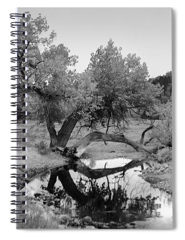 Dakota Spiral Notebook featuring the photograph Eye of the Stream by Greni Graph