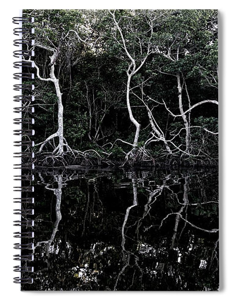 Photographs Spiral Notebook featuring the photograph The REFLECTIONS by Felix Lai