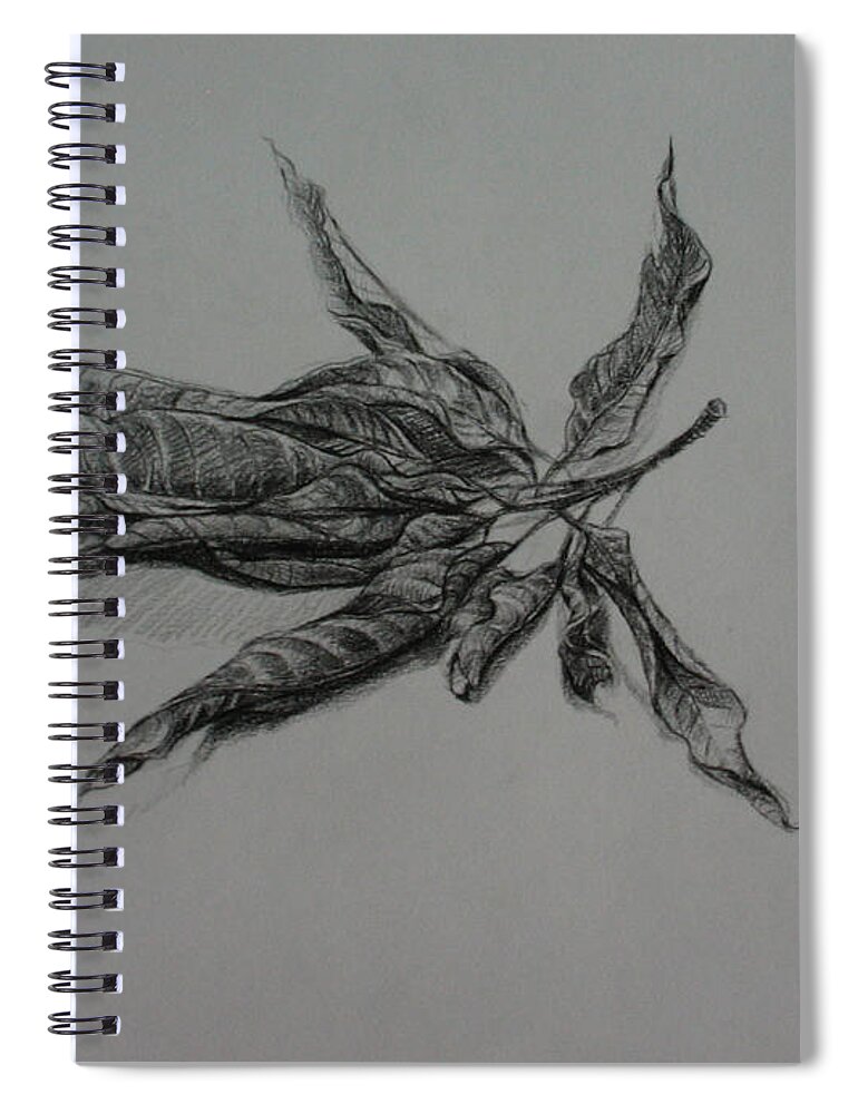Leaf Spiral Notebook featuring the drawing The Relatives by Sukalya Chearanantana