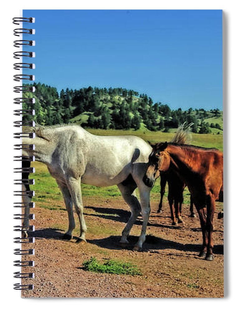 Horses Spiral Notebook featuring the photograph The Roadblock Registry by Elizabeth Winter