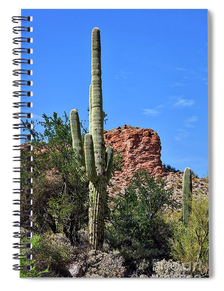 Cactus Spiral Notebook featuring the photograph The Saguaro And The Deep Blue Sky by Kirt Tisdale