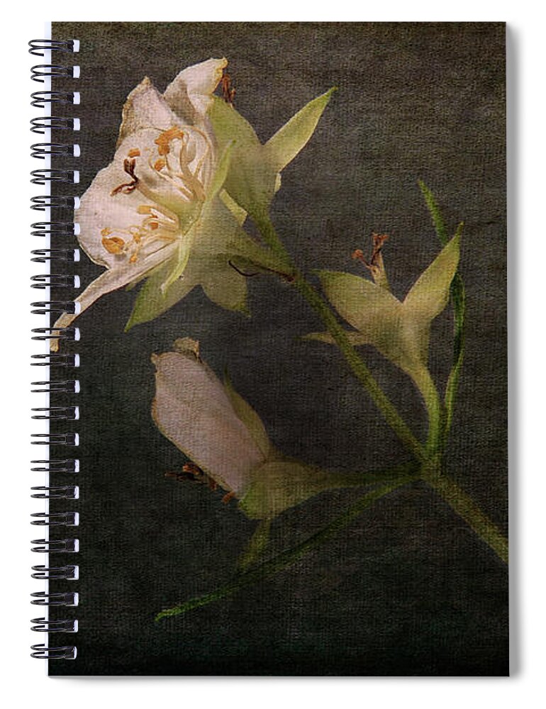 Nature Spiral Notebook featuring the photograph The Scent of Jasmines by Randi Grace Nilsberg