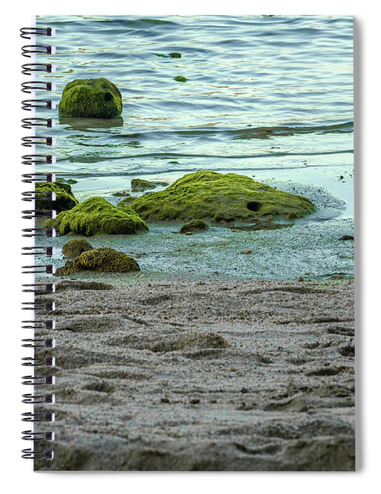 Michelle Meenawong Spiral Notebook featuring the photograph The Seashore by Michelle Meenawong