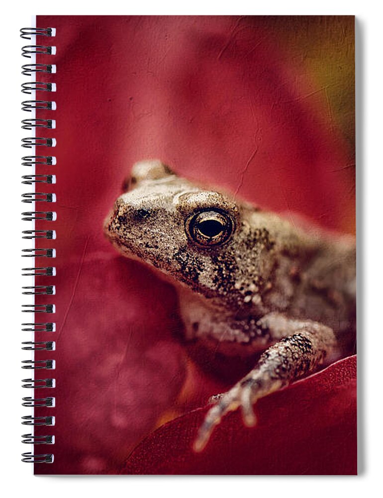 Frog Spiral Notebook featuring the photograph The Secret World Of Peepers by Lois Bryan
