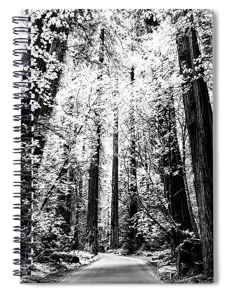 Forest Spiral Notebook featuring the photograph The Silver Forest by Joseph S Giacalone