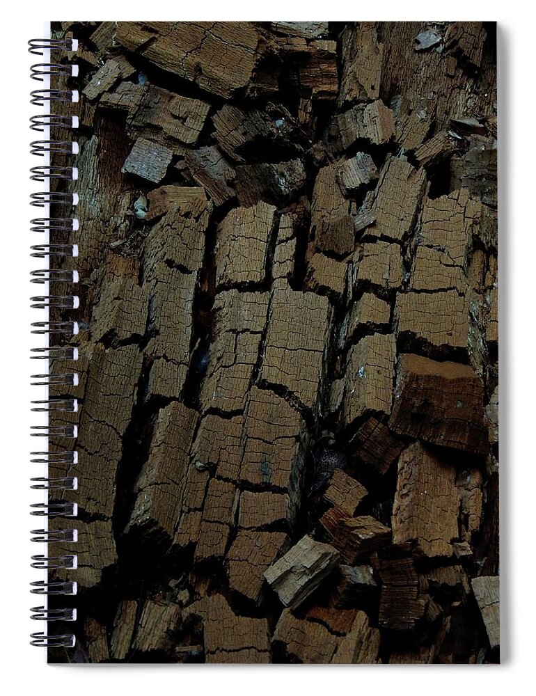 Tree Spiral Notebook featuring the photograph The Slow Journey Home by Vincent Green