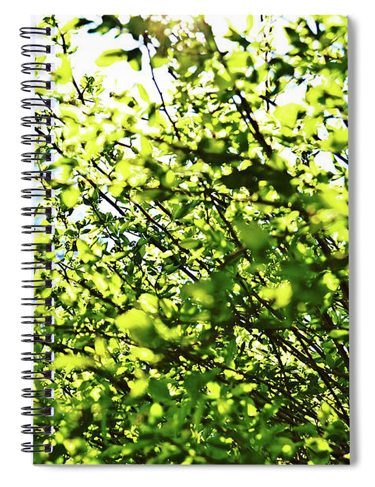The Spiral Notebook featuring the photograph The Spring Matters by Tinto Designs
