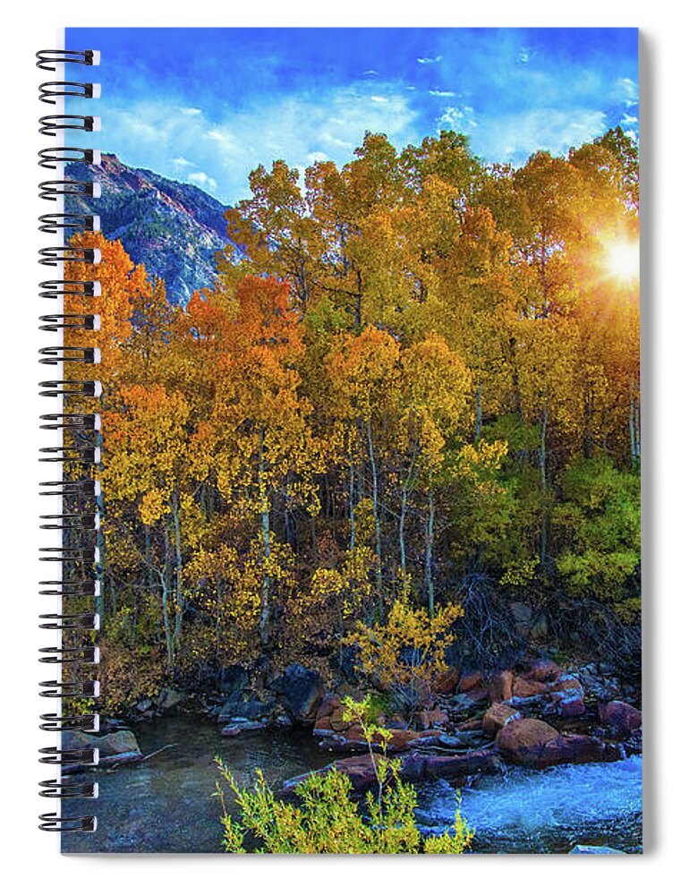 Autumn Spiral Notebook featuring the photograph The Stars of Autumn by Lynn Bauer
