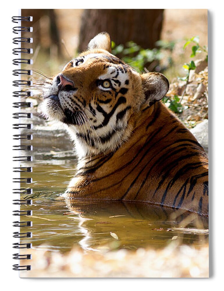 Wildcat Spiral Notebook featuring the photograph The Thinker by Ramabhadran Thirupattur