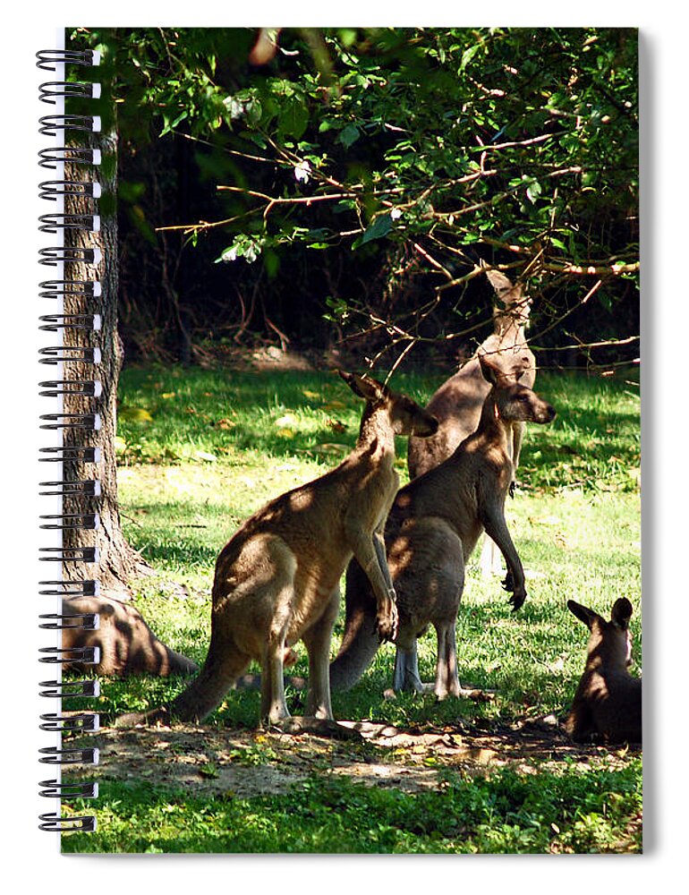 Fine Art Photography Spiral Notebook featuring the photograph The Three Musketeers by Patricia Griffin Brett