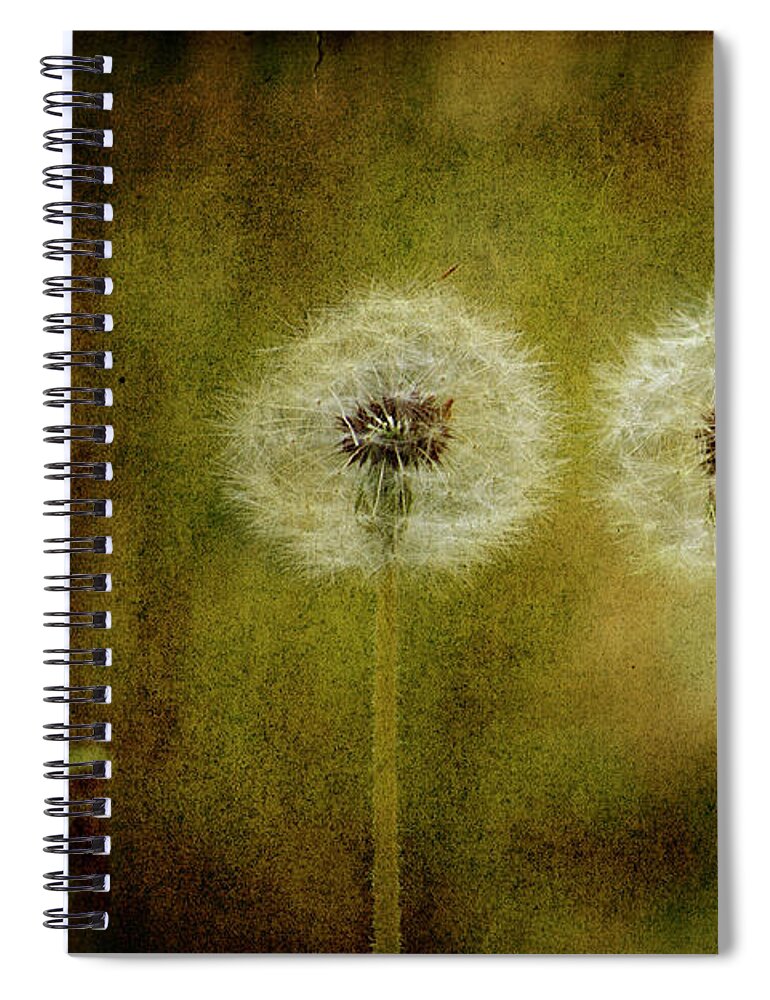 Flowers Spiral Notebook featuring the digital art The Three by Rebecca Langen
