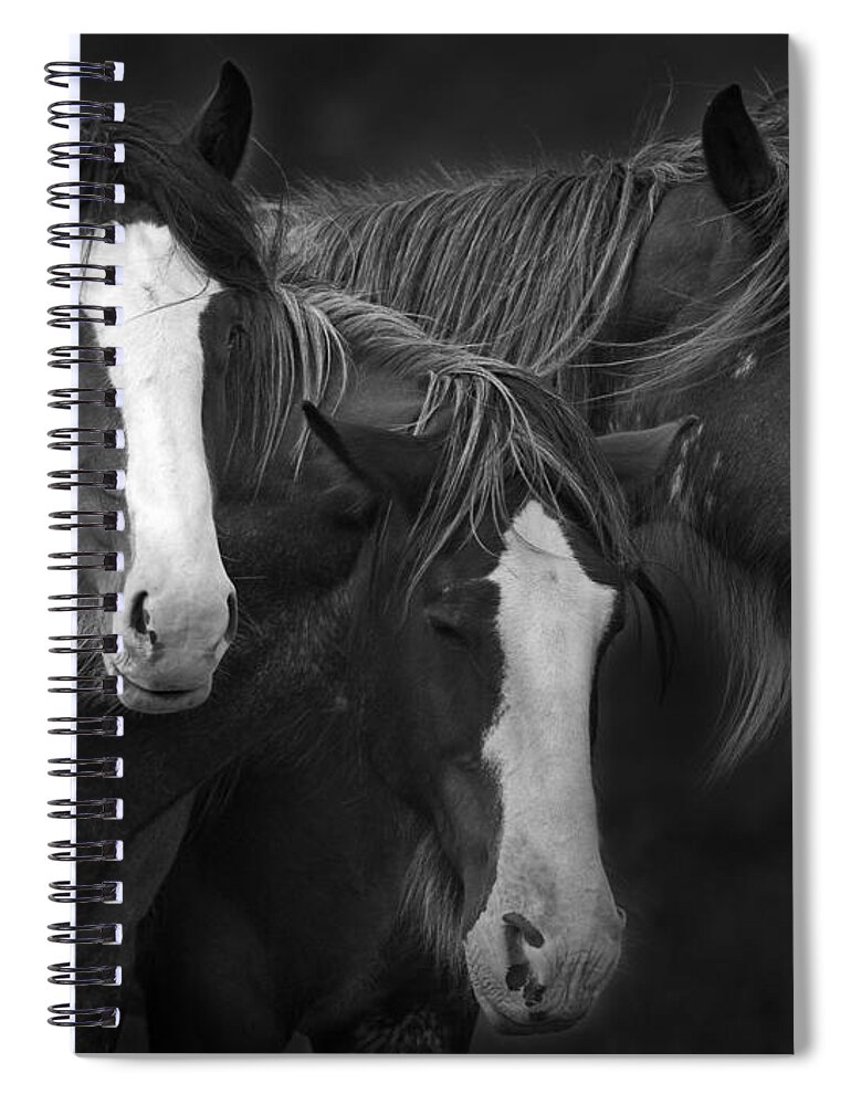 Festblues Spiral Notebook featuring the photograph The Three Sombreros.. by Nina Stavlund