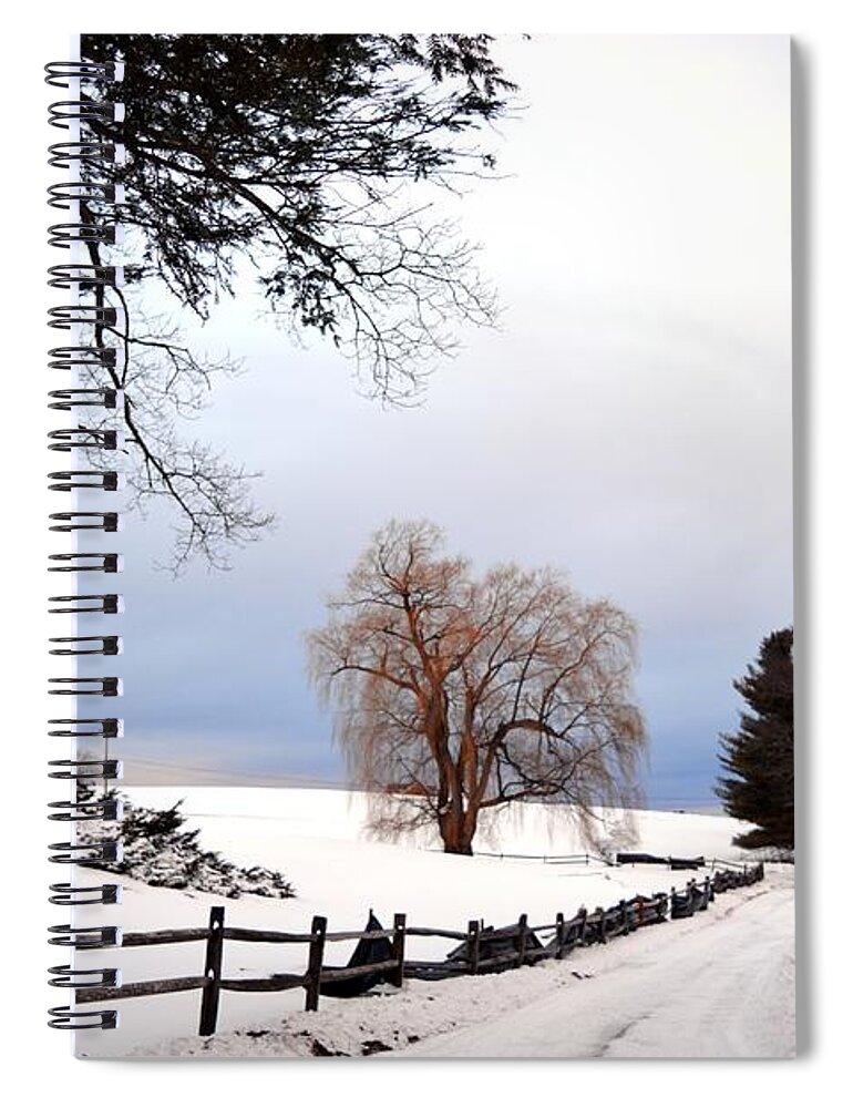 Trees Spiral Notebook featuring the photograph The Tree by Dani McEvoy
