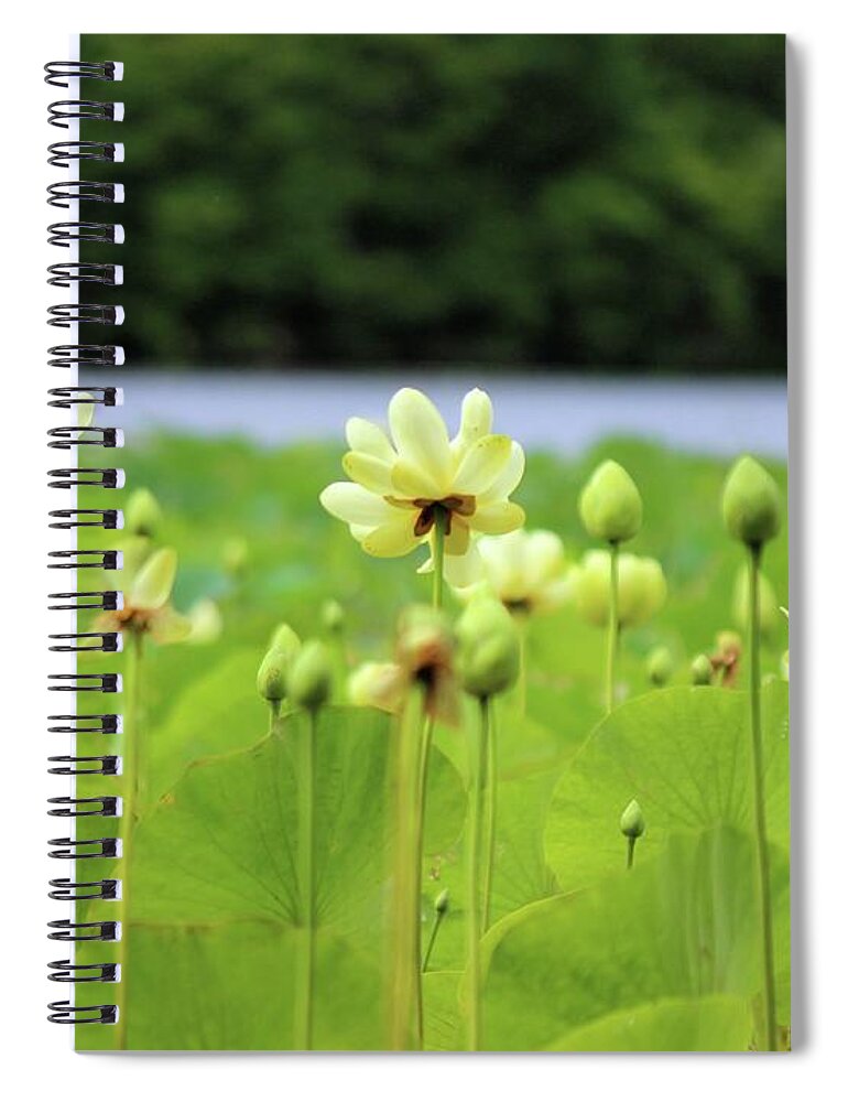 Green Spiral Notebook featuring the photograph The Water Fields by September Stone