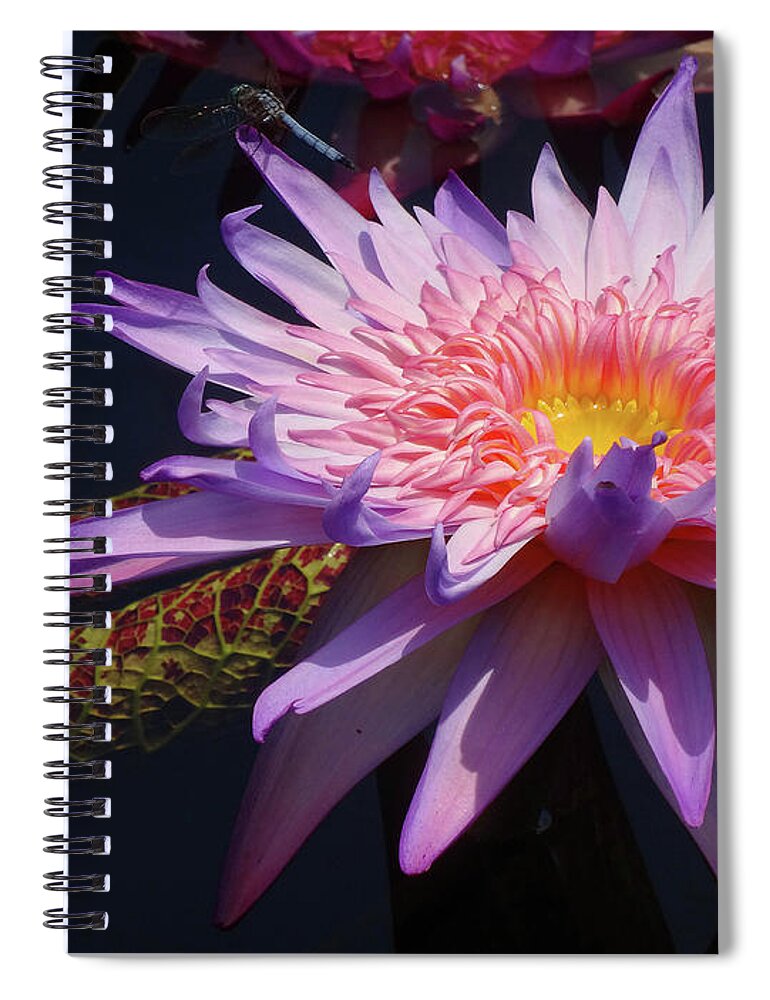 Flowers Spiral Notebook featuring the photograph The Water Lily Pond by Cindy Manero