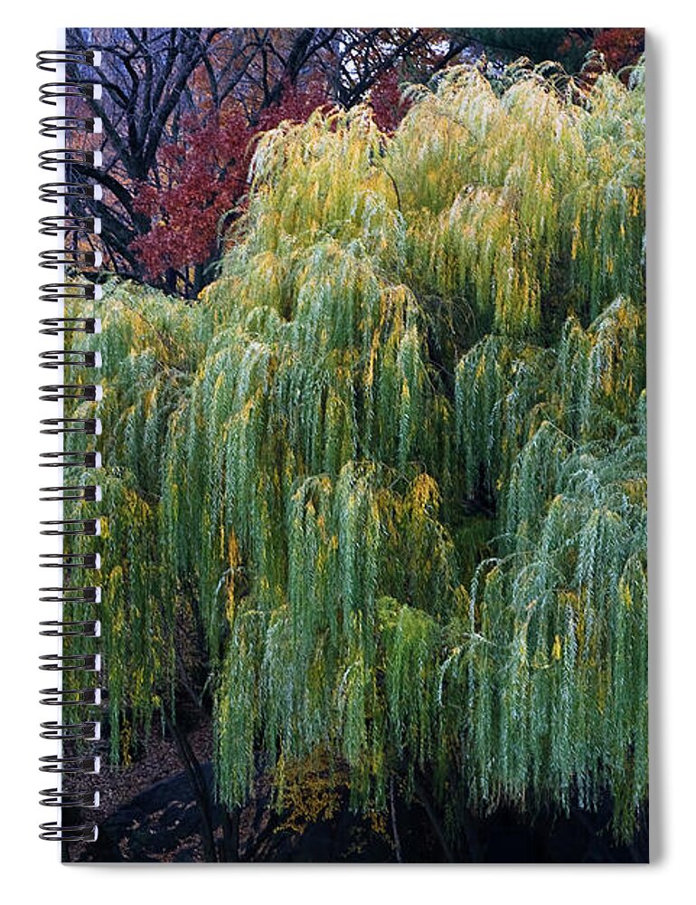 New York City Spiral Notebook featuring the photograph The Willows of Central Park by Lorraine Devon Wilke
